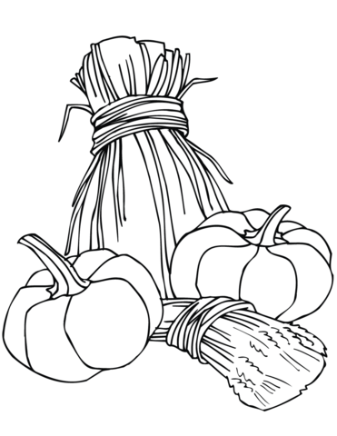 Pumpkins And Wheat Sheaves Coloring Page